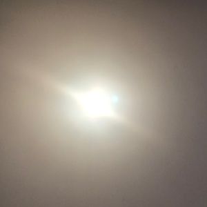 Meet your Posher, Edward